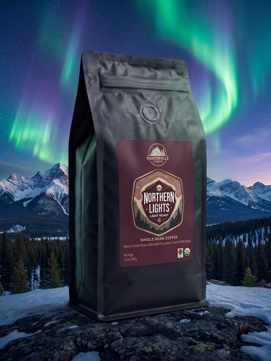 Northern Lights lighter medium roast coffee brewed in a cup