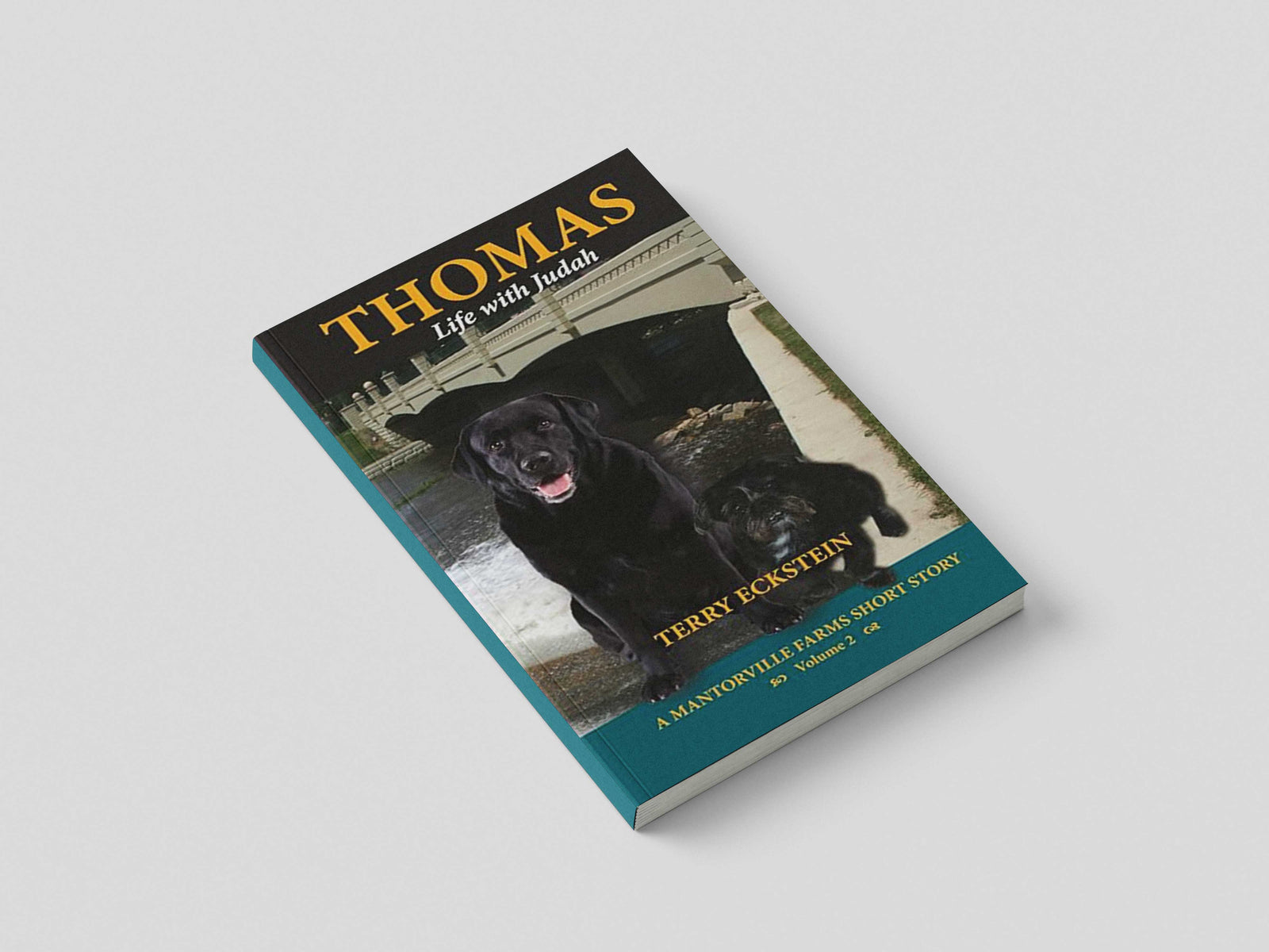 Thomas: Life with Judah